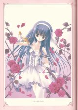 BUY NEW tinkerbell - 67205 Premium Anime Print Poster